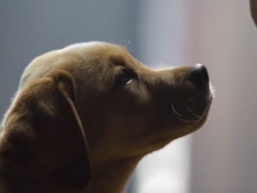 The 17 most iconic Super Bowl commercials of all time