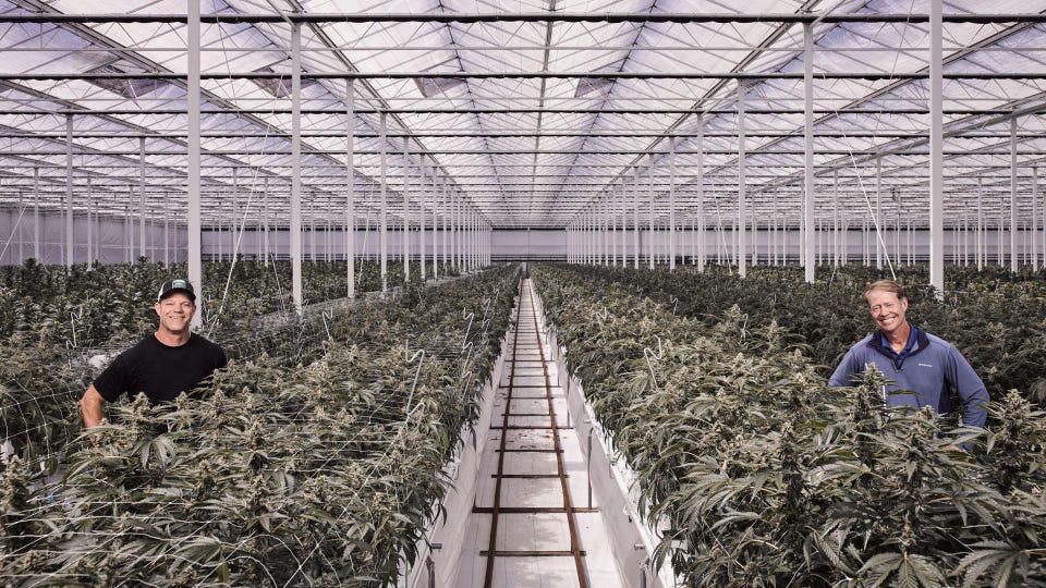 California’s Cannabis Sales Declined In 2022, The First Time Since Legalization