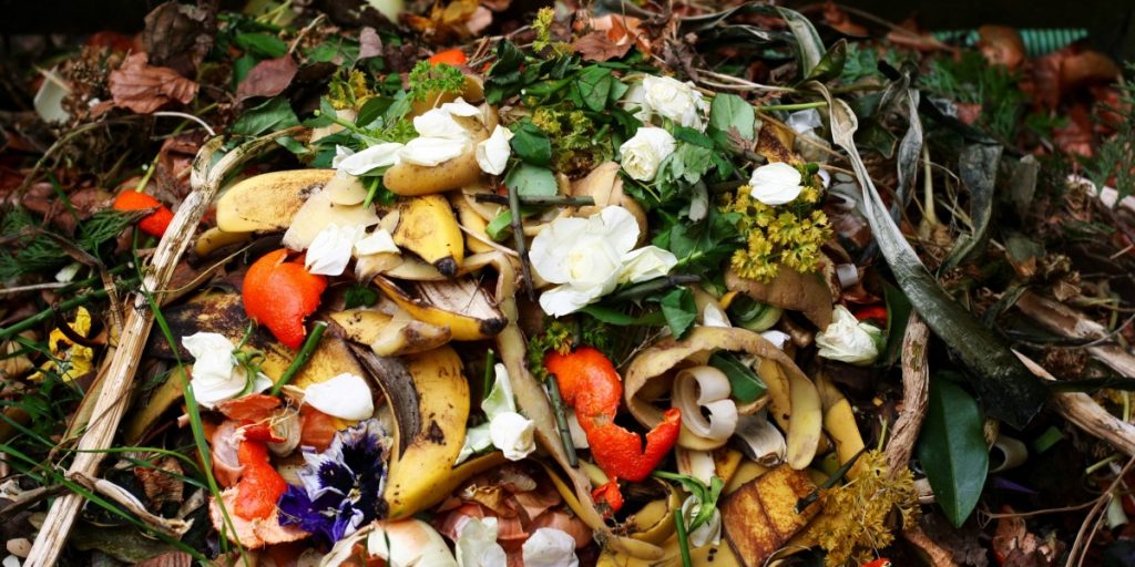 These companies want to tackle food waste with microbes