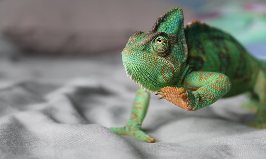 The Evolution of Hospitality Sales