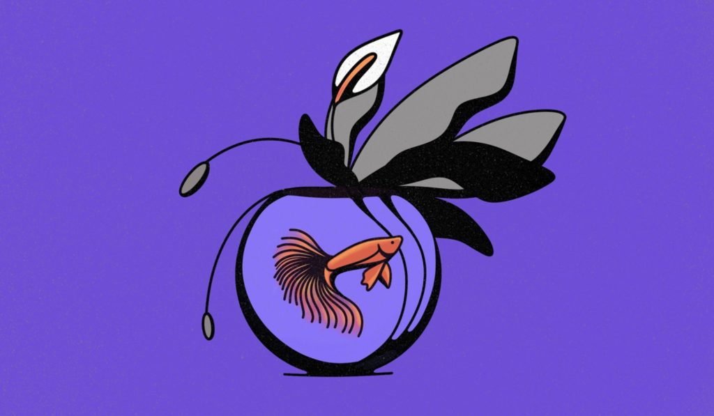 Newsletter publishers say they continue to see uptick in revenue despite advertising slowdown