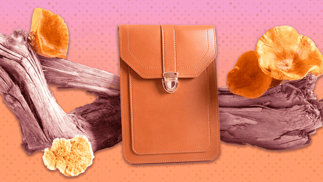 Mushroom leather: Fungi saves fashion
