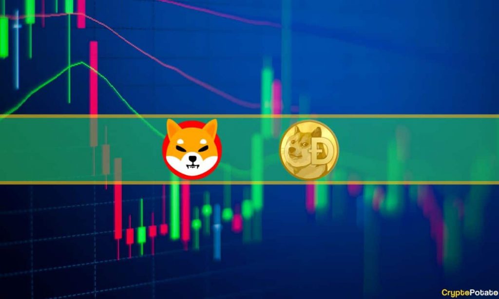 Memecoin Market Watch: Dogecoin Skyrockets 9%, Shiba Inu Up 5%