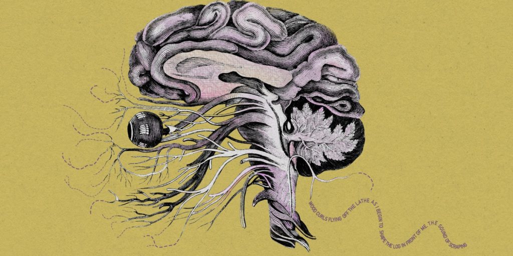 Brain scans can translate a person’s thoughts into words