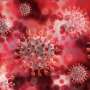 Researchers discover COVID-19 does not infect immune cells that contribute to chronic inflammation