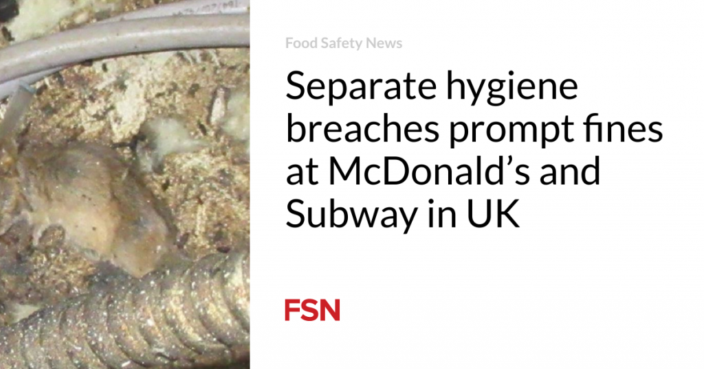Separate hygiene breaches prompt fines at McDonald’s and Subway in UK