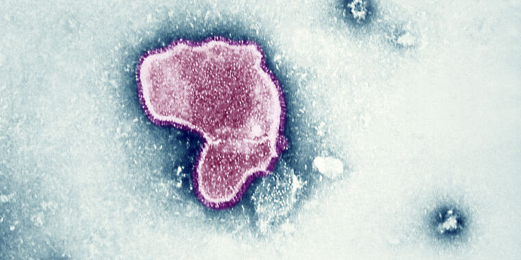 In a world first, RSV vaccine wins FDA approval for adults 60 and up