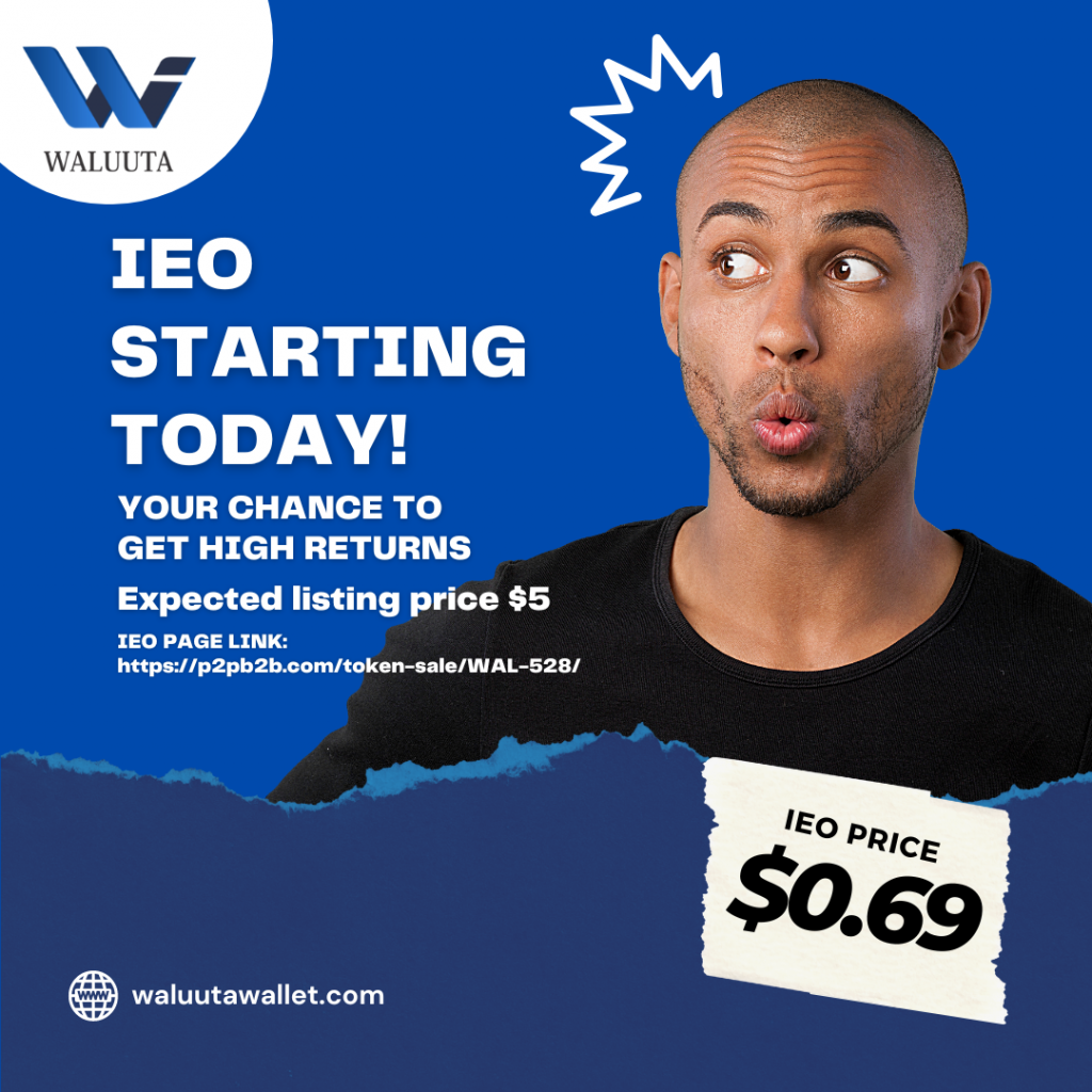 Waluuta: The Solution to Foreign Exchange Services in the Travel Industry