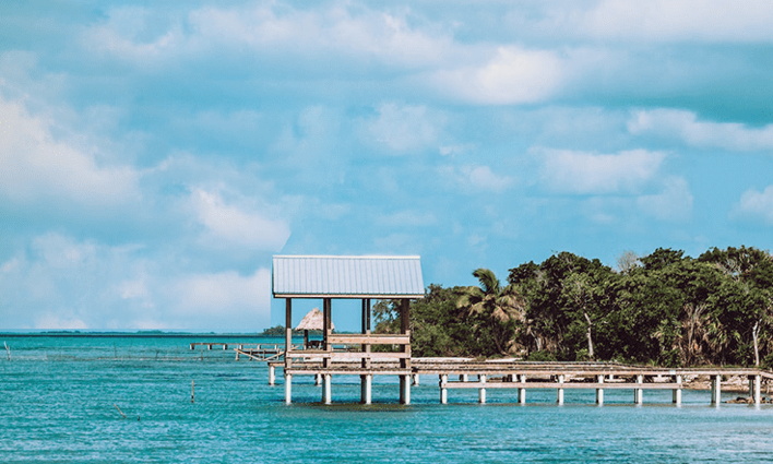 ForwardKeys and CHTA Launch Caribbean Travel Trends Report