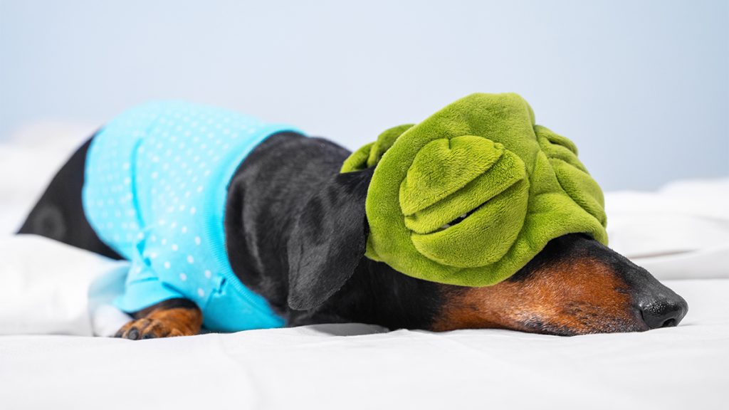 When Your Employee Tells You They’re Burned Out