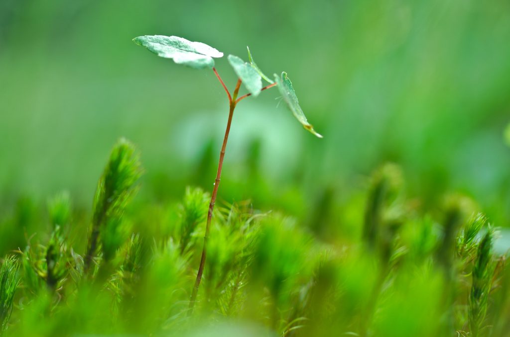 BRE consults on BREEAM revisions