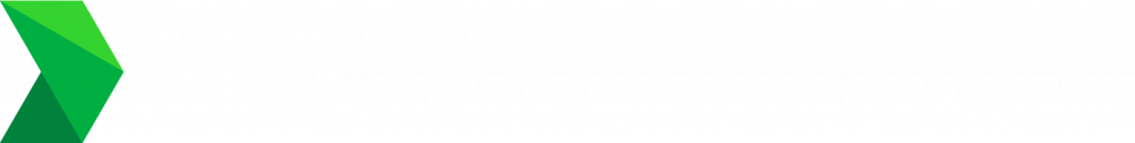 Hyundai N.Y. dealer A. Montano Co., Inc. customizes HX220L excavator with Bateman DEMO-MAG For C.D. Man