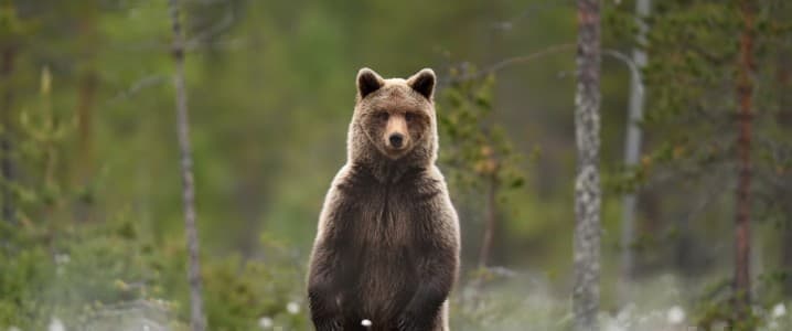 Wall Street Turns Bearish As China’s Economic Recovery Stalls