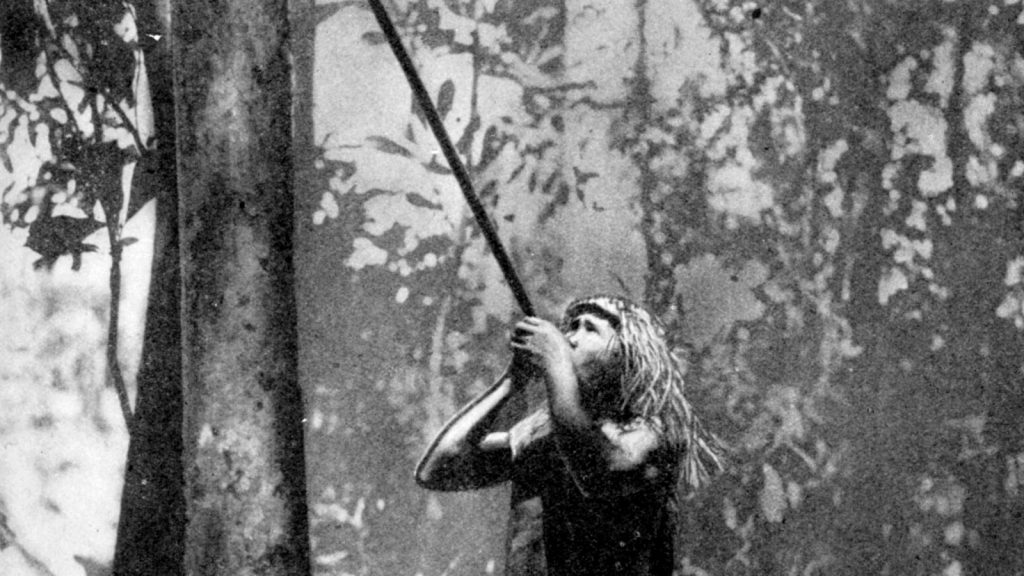 Women Hunt As Often As Men In Many Hunter-Gatherer Societies—Despite Age-Old Stereotypes, Study Finds