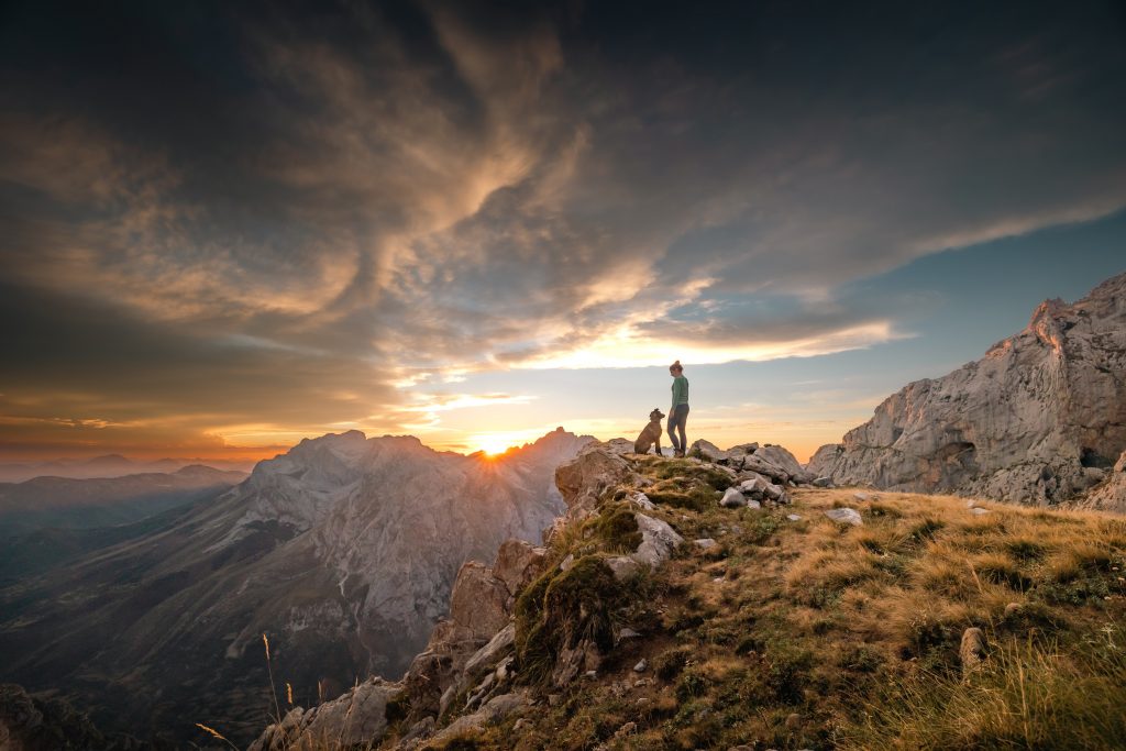 The Best Dog-Friendly Travel Destinations Around the World