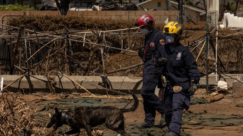 Biden to Visit Hawaii Following Wildfires