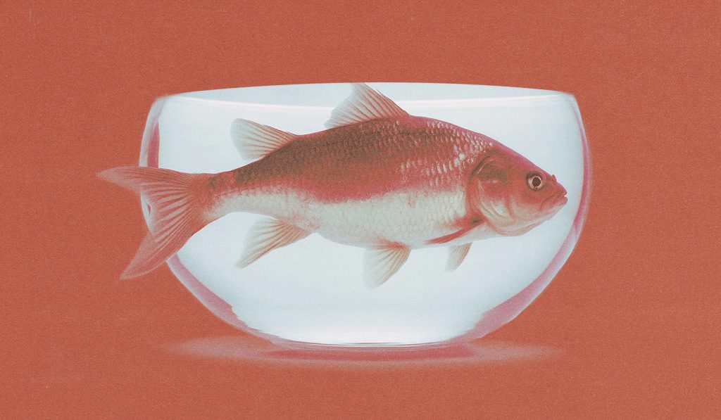 Holding pattern: Omnicom, IPG and the deal that’s leaving marketers on edge